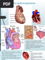 Anatomia y Fisiologia Del Corazon