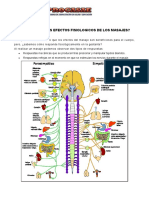 Lección 3 TIPOS DE MASAJES Y EFECTOS