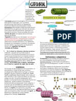 RESUMEN BIOCEL 2.4 Citosol, Citoesqueleto y Motilidad