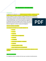 Tema 5. Digestión, Absorción y Metabolismo