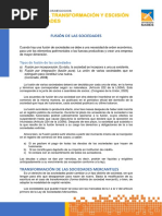 2.3. Fusión, Transformación y Escisión de Sociedades