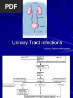 Urinary Tract Infections: Lecture 2: Genito-Urinary System