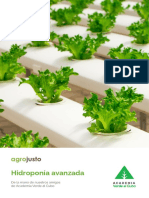 Descargable Hidroponia Agrojusto Verde Al Cubo