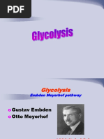 Glycolysis 4