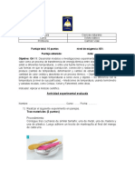 Experimento Evaluado Octavo