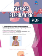 Sistema Respiratorio