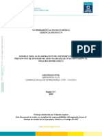 Modelo para La Elaboracion Del Informe de Gestion Empresa SVE Auditivo