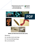 Man Zoologia 1 2015