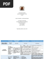 Cuadro Comparativo PDF