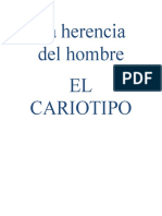 Biologia Cariotipo