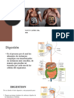 Clase 2 Fisiologia de La Digestión 2022