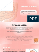 Apendicectomia Rosas Leslie PDF