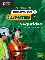 carrera-SEGURIDAD MINERA