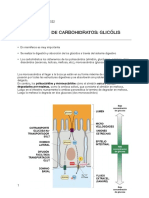 GLICÓLISIS