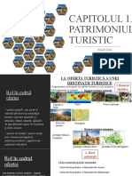 Capitolul 1. Patrimoniul Turistic: Palade Delia