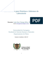 Lineamientos Lab