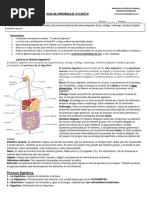 GUÍA N°4 SEXTO A y B CIENCIAS 2021 ABRIL