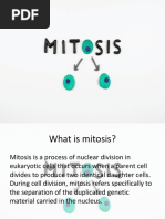 Meiosis