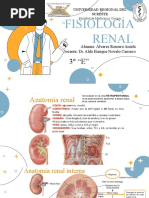 Fisiología Renal