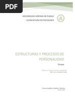 Estructuras y Procesos de Persoanalidad, Ensayo.