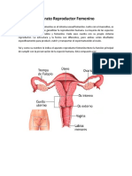 Aparato Reproductor Inves