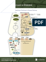 Parkinsons Sinalização