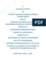 Daniel I.T Report 2021