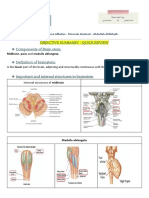 7 - Brainstem Summary + MCQs PDF