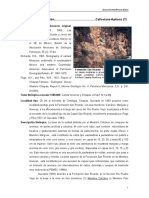 SanRicardo PDF