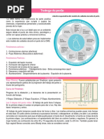 Trabajo de Parto Obstetricia PDF