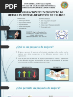 Elaboración de Proyecto de Mejora en El Sistema de Gestión de Calidad