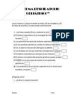 Sistema Respiratorio Geriatrico