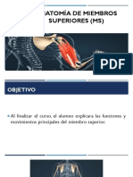 Miembros Superiores (MS) 1 PDF