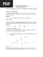 Números Algebraicos y Números Constructibles Con Regla y Compás