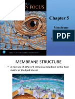 Biol 1205 - Chapter 5 - D2L - W2023