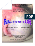 Traumatisme Du Testicule