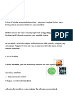 Modul Bab 5 Protista