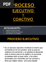 Expocision Proceso Ejecutivo Coactivo