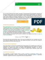 Teoría de Magnitudes PDF