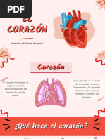 Expo. Corazón