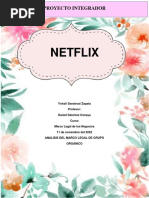 Netflix Proyecto (Y)