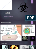 Rabia Por Sordna