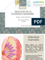 Fisiologia de La Glandula Mamaria