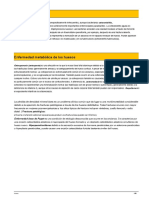 Hueso PDF