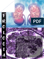 Glomerulonefritis Endo y Extracapilar