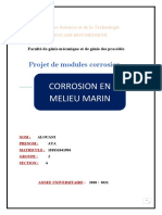 Corrosion en Melieu Marin: Projet de Modules Corrosion