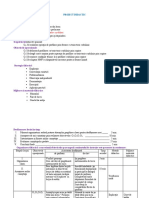 Proiect Didactic Frezarea Prin Copiere A Elementelor Curbilinii CL Xii