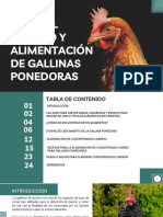 Manual Manejo y Alimentacion de Gallinas Ponedoras