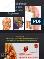 15 - Face - Nervos Facial e Trigêmeo (Marco) 02 - 10 PDF