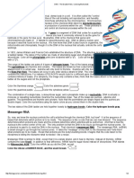 DNA - The Double Helix - Coloring Worksheet